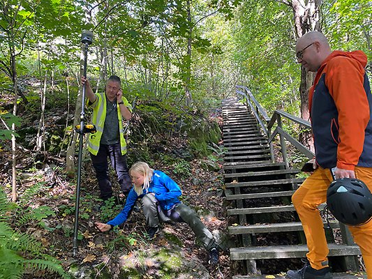 Mikael Loo och Helena
Brus, Sundsvalls kommun, inventerar förekomsten av bergviol längs trappan upp
till Norra Berget, tillsammans med projektledare Vincent Arvidsson. Foto: Norra Berget.